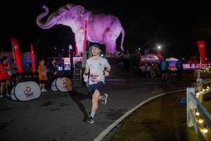 BIB: 
                            <button type="button" onclick="openModal(26551813)" class="btn btn-primary btn-sm float-right btn-popup" data-toggle="modal" data-target=".modal-high-quality">
                        <i class="fas fa-shopping-cart"></i> Add to Cart
                    </button>
                                            <button type="button" onclick="isThisMe(26551813, true)" class="btn btn-success btn-sm float-right btn-popup btn-isme hidden" data-toggle="tooltip" data-placement="bottom" title="นี่คือรูปของคุณใช่ไหม คลิกที่นี่เพื่อเอาเข้าอัลบั้ม">
                        <i class="fas fa-plus"></i> Add to album
                    </button>
                    <button type="button" onclick="isThisMe(26551813, false)" class="btn btn-warning btn-sm float-right btn-popup btn-isnotme hidden">
                        <i class="fas fa-ban"></i> Remove from album
                    </button>